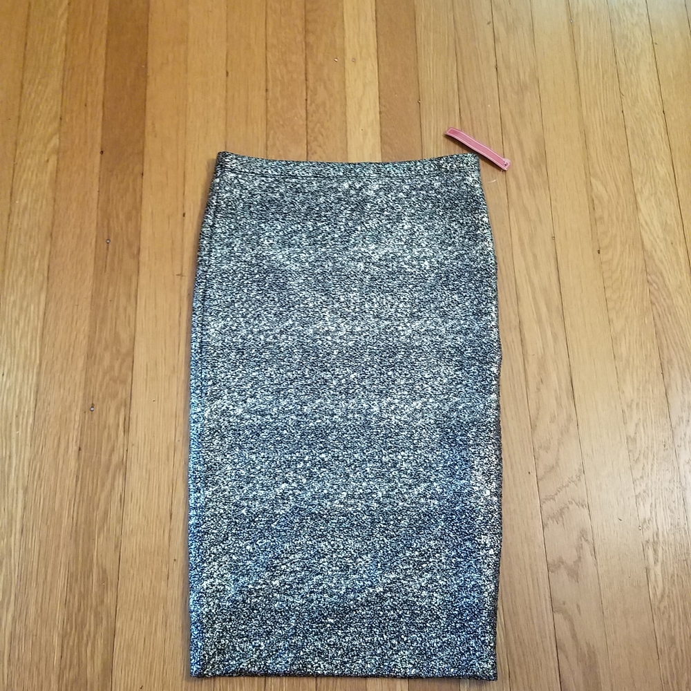 June and Hudson skirt.  Shimmer Shine Silver Pencil Skirt